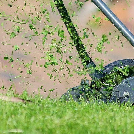 Fresh Cut Grass Candle