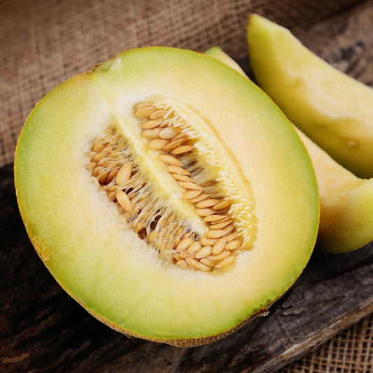 Honeydew Melon Candle